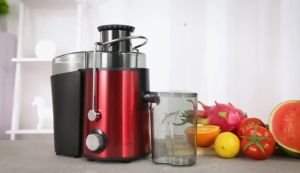 ZZUOM Stainless Steel Vegetable and Fruit Juicer: A Comprehensive Guide