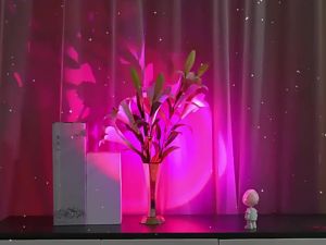 GGbingo Rechargeable Astronaut Robot Rainbow Projection Sun Lamp Table Night Light Sunset Lamp Dimming Bedroom Atmosphere Light