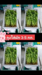 ถุงใส่ผัก 3-5 ก.ก. ขนาด 10 กก.