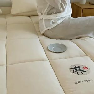 JIEMAIYA | All-Season Thick Flax Soy Mattress