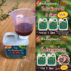 EM หัวเชืัอจุลินทรีย์ธรรมชาติเข้มข้น 100% EM ดับกลิ่นท่อ ส้วม กลิ่นเหม็น ใช้ย่อยสลาย หมักปุ๋ย บำบัดน้ำ ขนาด 1 ลิตร
