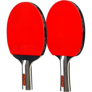 Double Fish | Four Star Professional Double-sided Inverted Rubber Ping Pong Paddle Set