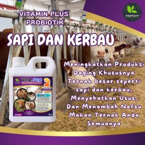 Vita-Pro Probiotik & Vitamin Penggemuk Sapi InterFarm 1 Liter - Kesehatan Optimal & Nutrisi Alami