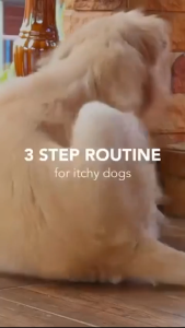 TropiClean Oxymed Bundle - Anti-Itch/Medicated Shampoo & Spray For Dogs & Cats