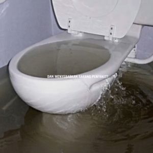 BIO GM Obat WC Mampet Cairan Pembersih Saluran Air