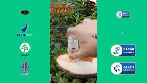 Obat Batu Ginjal Binasyifa Pecah Batu Herbal BPOM