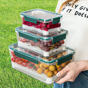 Portable Food Grade Fruit Preservation Box Outdoor Picnic Lunchbox Mini Fridge with Ice Box Storage Sealed Container