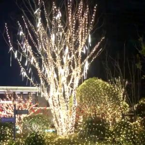 DR Tumblr Meteor LED Hujan 8 Batang 50 CM Lampu Meteor