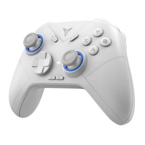 Flydigi | Multi-Platform Wireless PC Game Controller