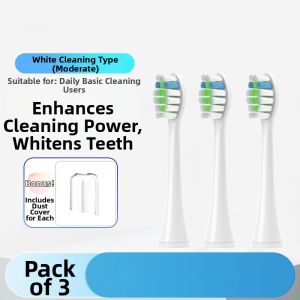 Electric Toothbrush Head Replacement for Apache Appliance PP6030 PP731i PP721f Dental Care Adult Hardness Grade 12 Pieces