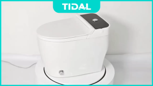 TIDAL Toilet Kloset Duduk Soft Close Powerful Flush Tidal TD133