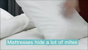 Electrolux Vacuum CM201 Pro Wireless Handheld UV Vacuum Dust Mite Cleaner for Bed Sofa Car with HEPA Filter