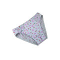 Japanese Style Men Crossdressing High Elastic Swimsuit Fabric Fashion Sexy Women's Version Print Men's Style Daily Briefs. 