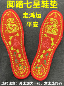 Red Embroidered Shoe Insoles Cross Stitch Lucky Year Womens Style Breathable Absorbent Footwear Accessories Lucky Snake Design