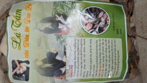 Lá tắm dân tộc dao đỏ lá tắm sau sinh (gói 1kg) dùng cho phụ nữ sau sinh người mới ốm dậy suy nhược cơ thể