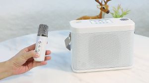 YS-219 Home KTV Speakers Portable Wireless Bluetooth Microphone compatible Home Tv Family Party KTV Audio 家庭ktv音箱套装 带麦克风