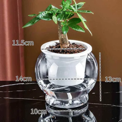 Simplified round Cylinder Plastic Flower Vase Hydroponic Plant White Palm Green Ivy Aquarium Container Home Decoration Tabletop