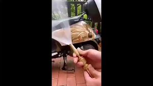 ชุดสายยาง 4หุนพร้อมหัวฉีดน้ำข้อต่อไม่ต้องประกอบ พร้อมใช้งานสายยางรดน้ำ4หุน1/2"เเถมหัวฉีด สายยาง4หุนยาว 5ม./10ม./20ม