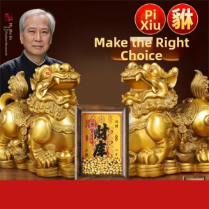BINYUE | Wealth Attracting Pixiu Pair Statue Pure Brass