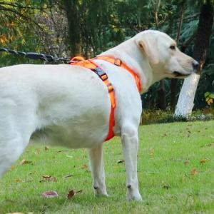 No Pull Dog Harness Pet Reflective Nylon Adjustable Medium Large Naughty Dog Vest Safety Vehicular Lead Walking Running