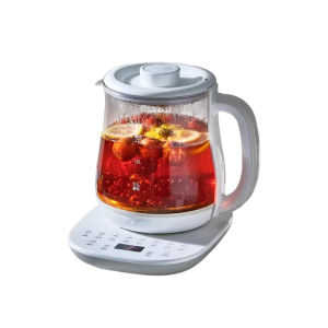 Bear | Office Mini Automatic Temperature Control Multi-Function Glass Tea Kettle