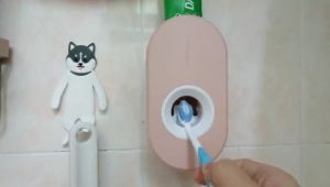 Wall Mounted Toothpaste Squeezer for Toothbrush Holder Storage 2 in 1