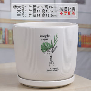 Flower Pot Ceramic Nordic Simple Creative Large Extra Large with Tray Black and White Indoor Green Radish Green Plant Home Specials