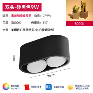 Prothim Double Head Box Lamp round Passage Balcony Living Room LED Downlight Surface Mounted Smart Voice Control APP Control