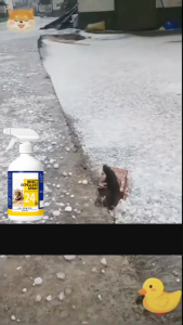 Rat Repellent for Home and Car 500ML Rodent Repellent Spray for Garage Use Easy to Apply Formula