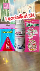 ชุด ป้องกันกำจัดเชื้อราพืช ขนาด 1ชุดต่อพื้นที่ 5ไร่ เชื้อราในข้าวโพด รารุกตีน ใบไหมแผลเล็ก ใบไหม้แผลใหญ่ ใบจุด