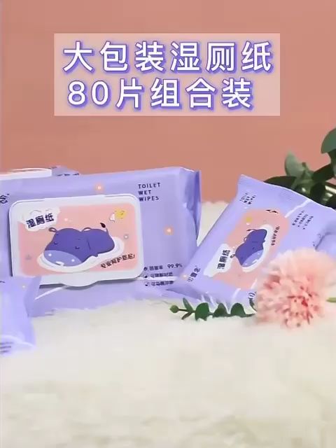 Multipurpose Toilet Wipes Wet Tissue High Quality & Safe Flushed into ...
