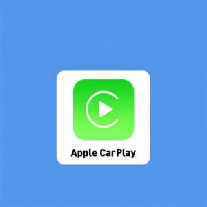 LUXIANXING | Wired to Wireless Carplay System