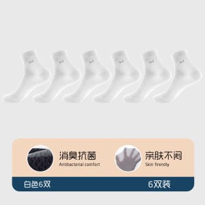 Mens Mid-Calf Ice Silk Socks Ultra-Thin Breathable Business Mesh Antibacterial Deodorant Summer Long Socks Catman