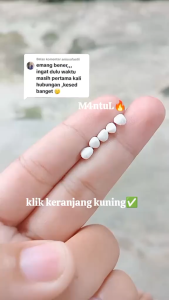 PIL MUTIARA SURGA 100% HERBAL / PIL BUJANG MUTIARA SURGA / MUTIARA SURGA / PIL PERAPAT MISS V