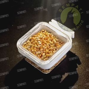SEMPATI Cepuk Kotak Bening Maxglo Max Glo Cepuk Wadah Tempat Pakan Makan Minum Burung Murai Kacer Kenari Lovebird Cucak Ciblek