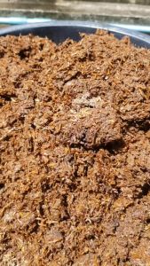 เชื้อราบิวเวอร์เรีย ชีวภัณฑ์ป้องกันและกำจัดโรคพืชและแมลง งานวิจัย ม.สงขลานครินทร์