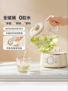 Bear | Heating and Stewing Glass Kettle