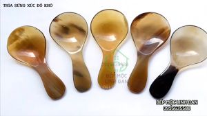 [FREESHIP MAX]Muỗng múc gia vị bằng sừng tự nhiên siêu xinh_01 chiếc 9cm [CTL776].
