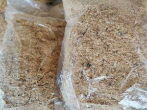 Baja kulit Udang rose food / Baja udang / Baja udang penggalak bunga rose ros orkid Jepun / Prawn fertilizer