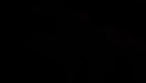 【现货秒发】B Solution 蜂蜜活力饮 原装正品 安心下单【保密发货】