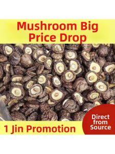 Thick and Rootless Dried Shiitake Mushrooms