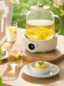 DUSTDEER | New Glass Tea Kettle Multifunctional High Aesthetic