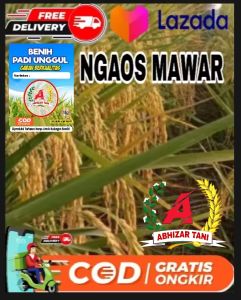 BENIH PADI NGAOS MAWAR KEMASAN 1KG
