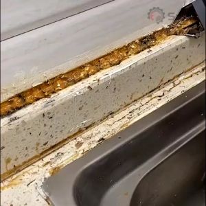 3in1 Caulking Removal Tools Set Kit: A Comprehensive Guide