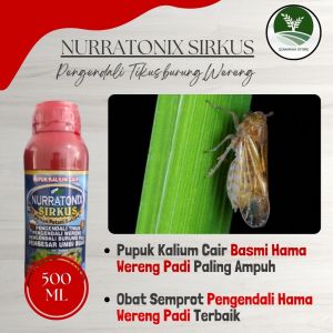 Obat Hama Wereng Padi Paling Ampuh - Pupuk Semprot Paling Top Pengendali Hama Wereng Sawah Terbaik - NURRATONIX SIRKUS 500ML - Obat ajaib untuk mengusir hama padi werengwalang sangitpenggerek daunkutu putih dll Hilang dalam hitungan jam