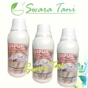 Pupuk Pencegah PURETKERTING DAN KUNING GUSPUR 250GRAM plus coenzim