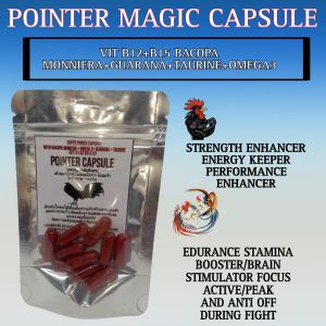 ATP pointer capsule for pointing day use for gamefowl
