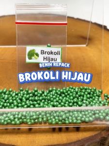 Benih Brokoli Unggulan berkualitas biji bibit tanaman sayur sayuran hydroponik bunga sawi hidroponik