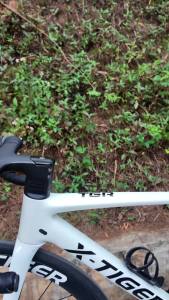Túi Xe Đạp Chống Nước Dung Tích Lớn X-Tiger Túi Khung Xe Đạp MTB/đường Trường Phía Trước Túi Ống Xe Đạp Di Động Dành Cho Người Đạp Xe Năng Động