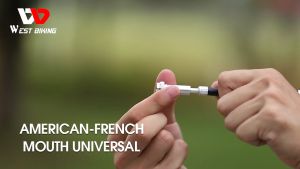 West Biking Pompa Mini Pump Ban Sepeda Motor Selang 160 PSI YP0711111